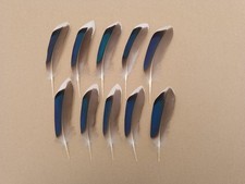10 Large Right Mallard Duck Blue Wing Feathers 5" / 13cm - Jewellery