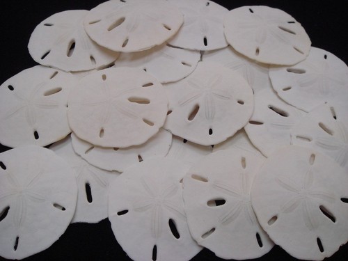 Pcs florida keyhole - 40,