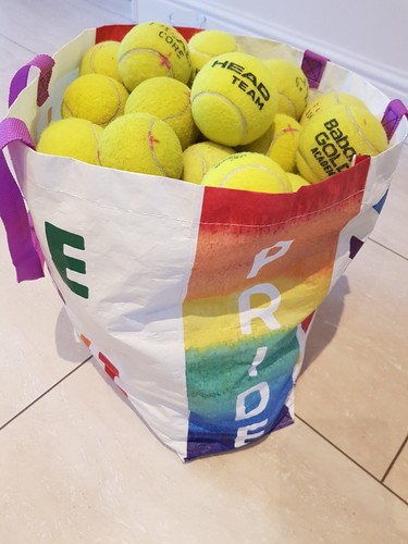 Used tennis balls for dogs - tennis,