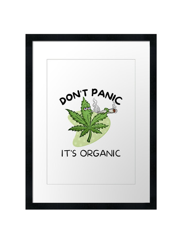 Don panic organic 12 - panic,