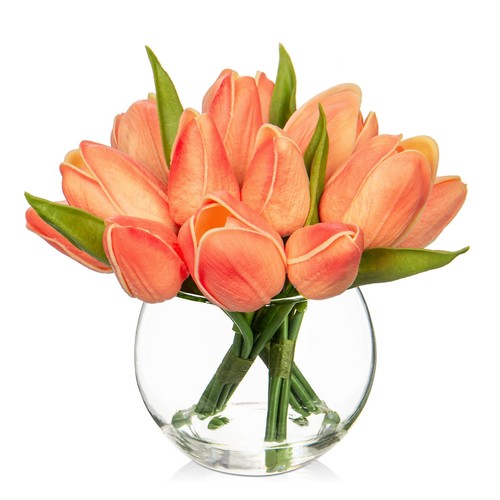 Dilatata artificial peach - dilatata,