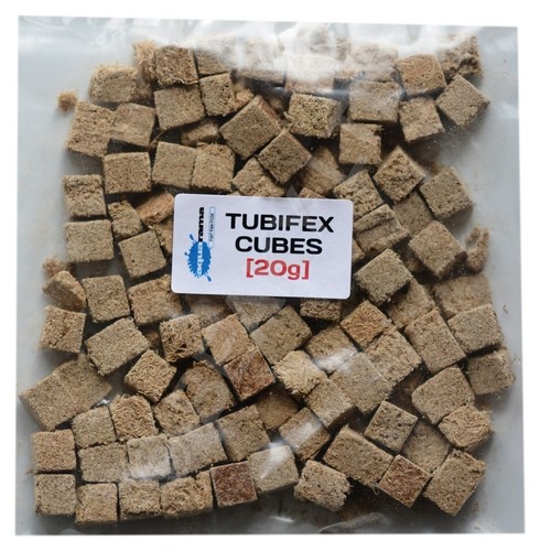 Tubifex cubes freeze dried - cubes,