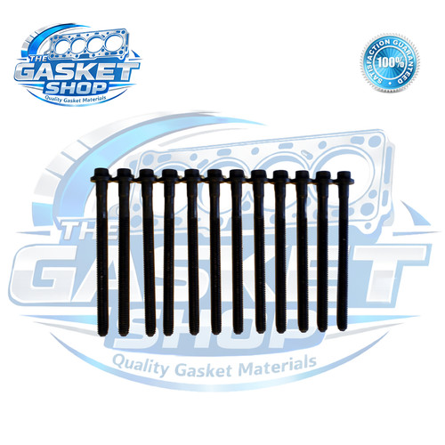 Head bolts fit - bolts,