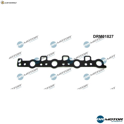 Gasket camshaft lock - camshaft,
