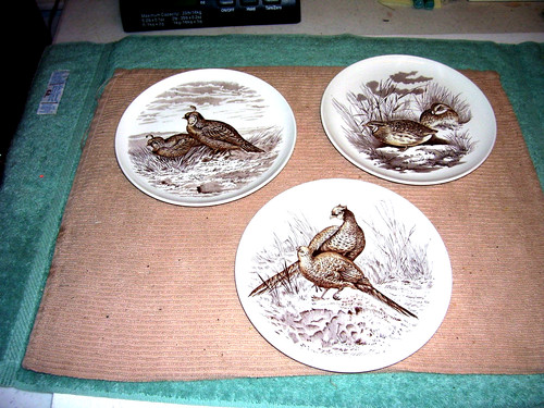 Set spode england - of,