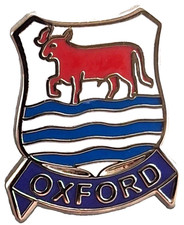Oxford City Small Pin Badge