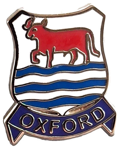 Oxford city small pin - oxford,