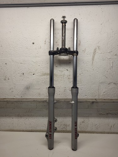 Hyosung cruise 125 forks - hyosung,