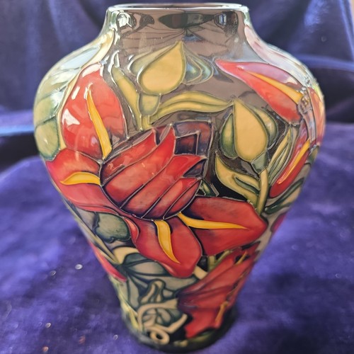 Moorcroft pottery vase 576 - pottery,