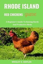 Rhode Island Red Chickens
