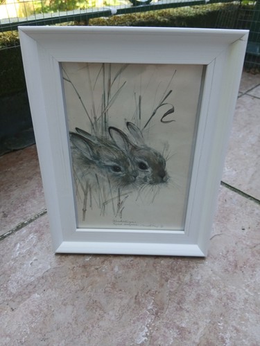 Vintage 1976 rabbit - vintage,