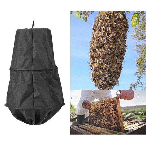 Swarm trap beekeeping - swarm,