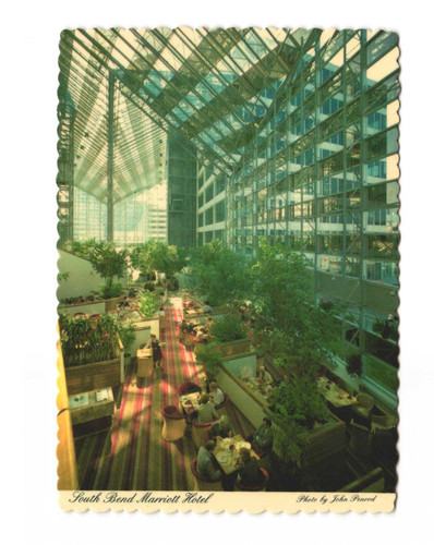 The looking glass - looking, restaurant