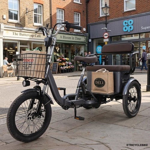 Electric trike adult wheel - 3,