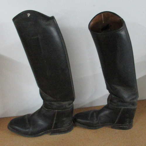 Petrie tall dressage - petrie, 20”