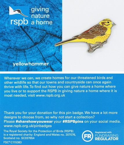 Rspb pin badge - badge, gnah