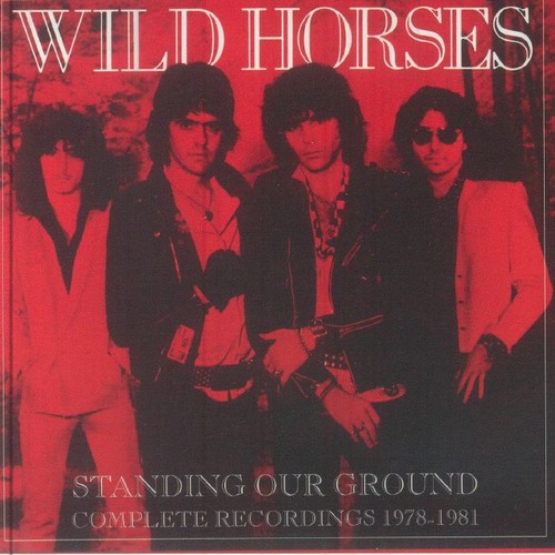 Wild horses standing - wild,
