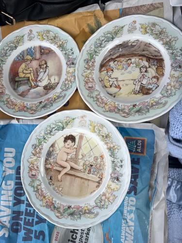 Royal worcester plates the - royal,