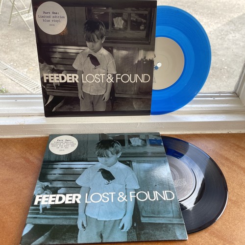 Feeder lost and found - lost,