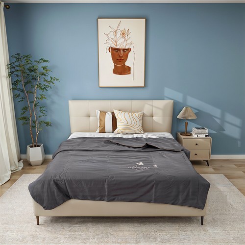 Ice silk duvet - ice,