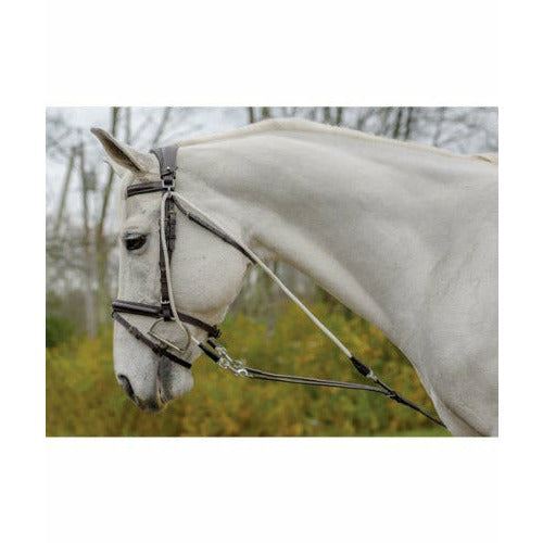 Shires avignon gogue - shires,
