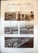 Antique print cross - print, country
