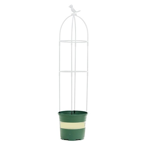 Garden plant support trellis - garden,