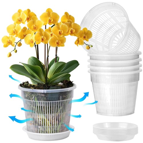 Pack 14cm clear orchid pots - 6,
