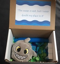 Fidget Toy Collection Bundle