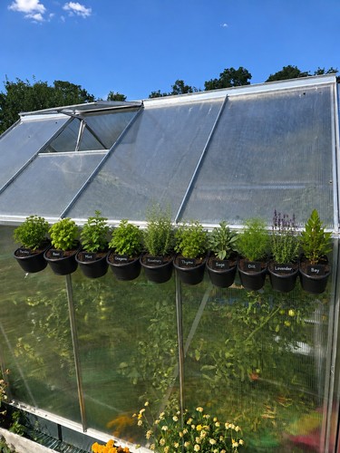 10x vertical garden living - garden,