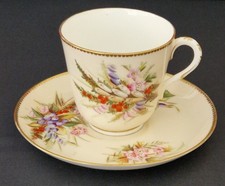 Antique Royal Worcester Cup