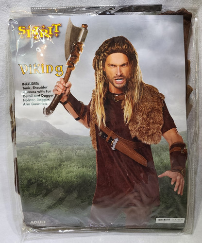 Viking warrior spirit - viking,