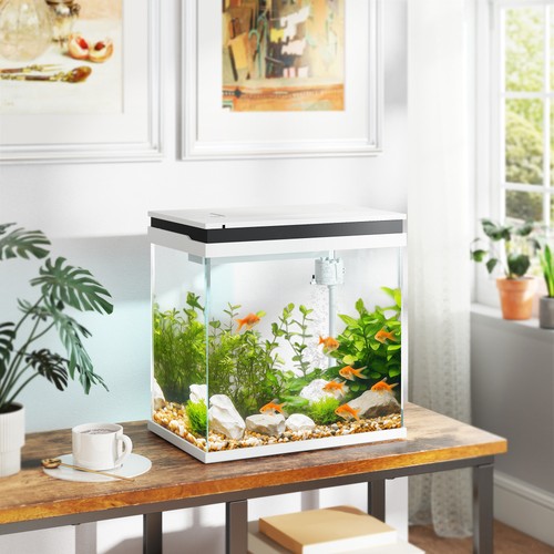 26l glass fish tank - fish, with
