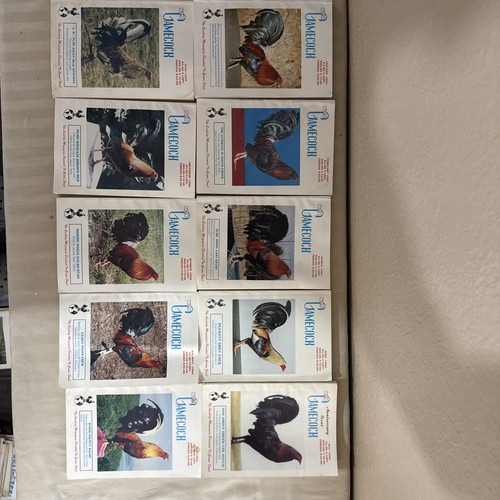 Vintage the gamecock - vintage, "the