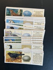 FULL SET - TYPHOO TEA -