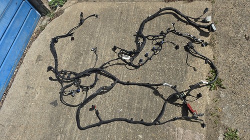 Ford focus harness ecu - ecu, wiring