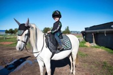 childrens personalised equestrian cross country set