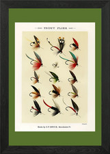 Trout flies chart framed - trout,