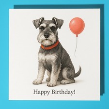 Miniature Schnauzer - Happy