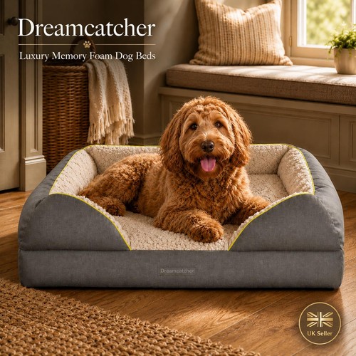 Dreamcatcher large dog - dreamcatcher,