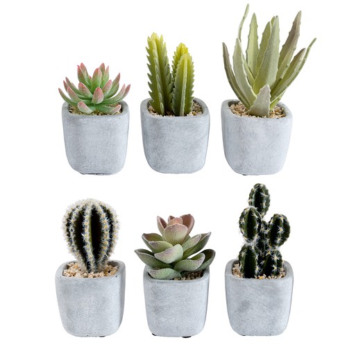 Different artificial cactus - different,