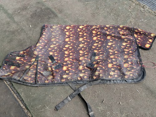 Gallop flame print - gallop,