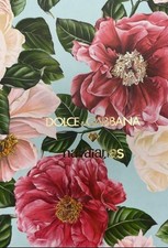 LAST PAIR! Women 7/8 |