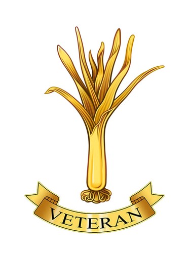 Welsh guards veteran - welsh,