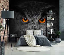 3D Animal Owl R16055 Wallpaper