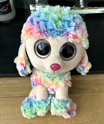 Beanie boos poodle - boos, dog