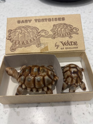 Wade england baby tortoises - wade, of
