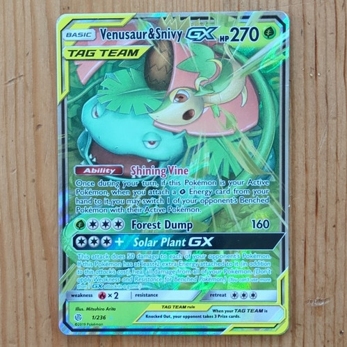 Venusaur snivy 1 236 - venusaur, &