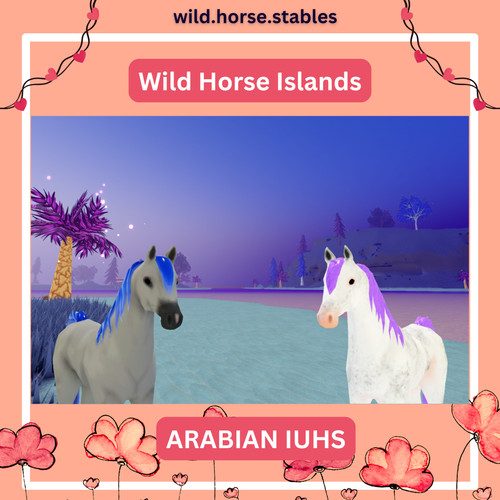 Wild horse islands arabian - horse,