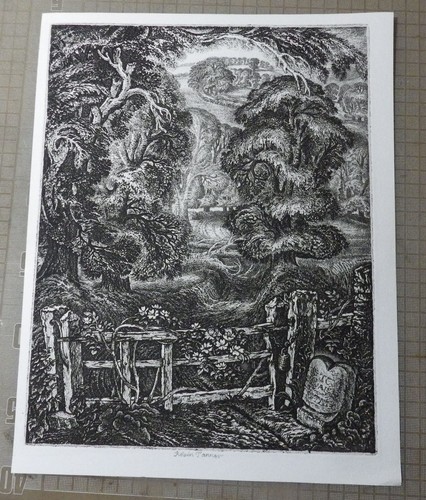 Robin tanner signed etching - signed,